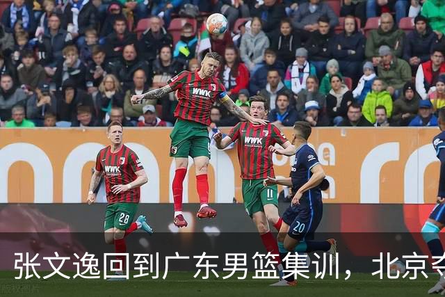 张文逸回到广东男篮集训，北京夺冠功勋确定退役，上海欲续约弗格