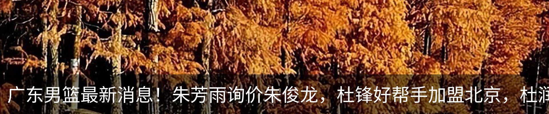 最新动态