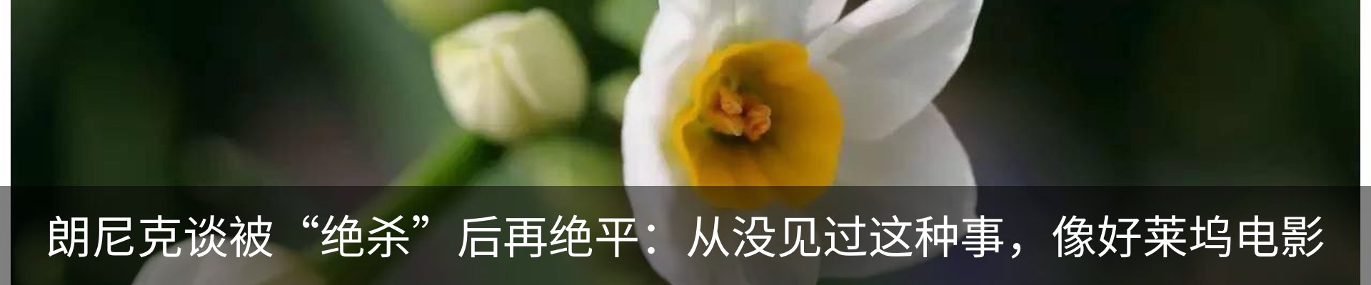 最新动态